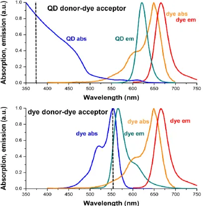 Figure 2.7. Comparative absorption and emission spectra of a hypothetical QD donor-dye acceptor  (top) and dye donor-dye acceptor (bottom) FRET pair illustrating the photophysical differences  between a QD donor and a dye donor (black dotted line: putative