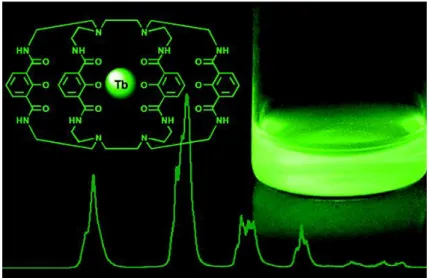 Figure 2.11. Cage-like structure of the ligand for photon harvesting of the Lumi4-Tb complex used  in this thesis