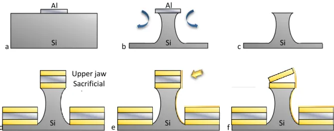 Figure  37:  Illustration  of  the  six  main  steps  of  the  tweezers  fabrication  process