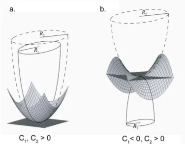 Figure 2.8: Curvatures on a 2D surface. (a) Curvatures of same sign: ellipsoidal form.