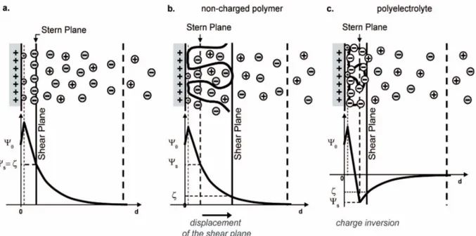 Figure 4.6: Schematic representation of the structure of the electrical double layer in (a) absence and in presence of adsorbed non-charged polymer (b) or polyelectrolyte (c).