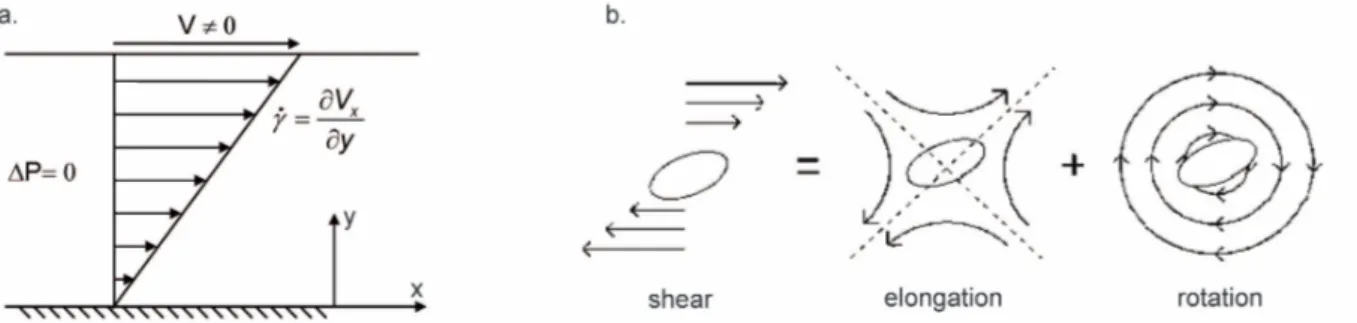 Figure 5.7: (a) Shear flow of fluid between a moving upper plate and a stationary lower plate (Couette flow)