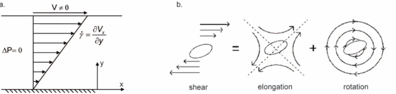 Figure 5.7: (a) Shear flow of fluid between a moving upper plate and a stationary lower plate (Couette flow)