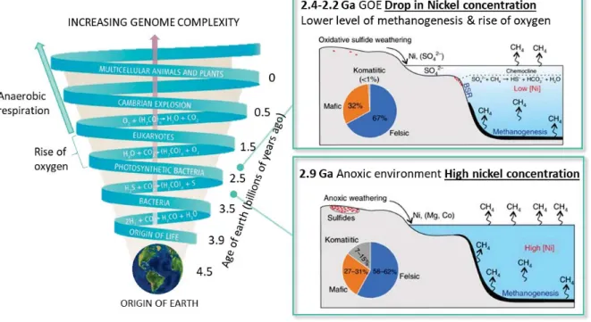 Figure 1.  How the genomic and the metabolic pathways evolved during Earth’s history. How life started is still  unknown but there is evidence of microbial life in the mid-Proterozoic