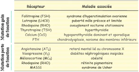 Tableau 7 : Exemples de pathologies humaines associées à des mutations dans des GPCR. 