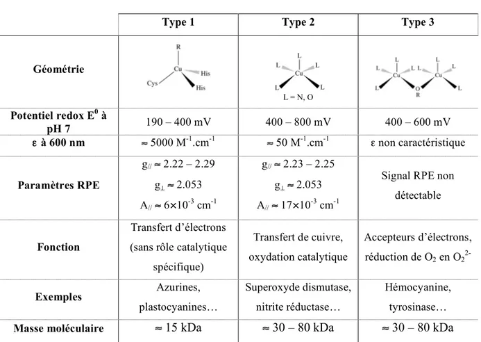 Tableau 3 : Caractéristiques, géométriques, physicochimiques et fonctionnelles des protéines de type 1, 2 et 3 