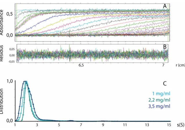 Figure 24  : Ultracentrifugation analytique, vitesses de sédimentation d’échantillons de complexe EC/KL