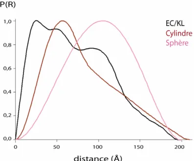Figure 27 : Comparaison entre la fonction de distributions de distances normalisée du complexe EC/KL et  celles et d’un cylindre et d’une sphère