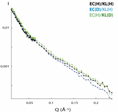 Figure  28  :  Comparaison  des  courbes  de  diffusion  d’échantillons  de  complexe  EC/KL,  hydrogéné  en  tampon  100%  H 2 O  et  partiellement  deutérés  en  tampon  41%  D 2 O/59%  H 2 O