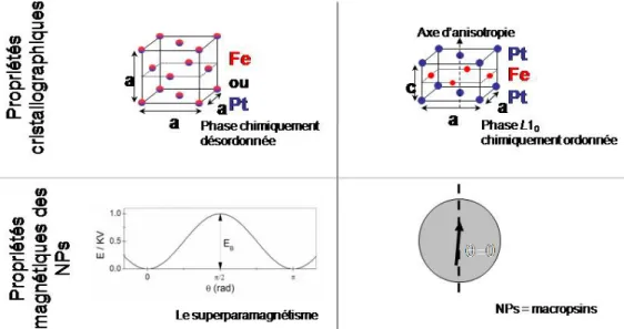 Figure 11: Schéma récapitulatif des propriétés des NPs d’alliage de FePt et FePd   