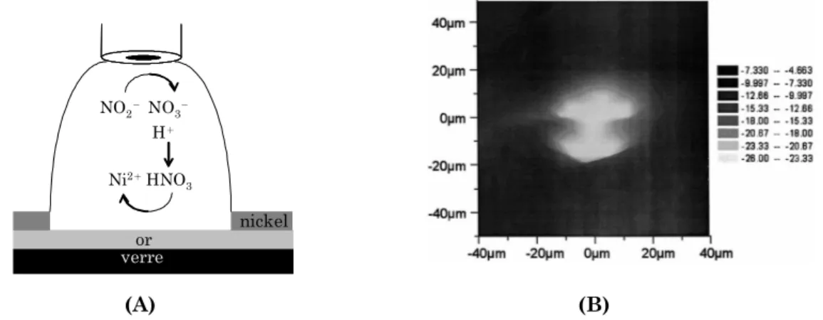 Figure  II.4  (A)  Principe  et  (B)  Image  SECM  en  mode  feedback  obtenue  en  réduisant  l’hexaamine  ruthénium  (III)  sur  une  microélectrode  de  platine  (diamètre  de  10  µm)  et  en  balayant  la  surface  du  substrat d’or recouvert d’une co