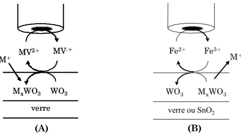 Figure II.8 Schéma du système «writing – reading – erasing » de l’oxyde de tungstène : (A) « écriture »  et (B) « effacement » localisés du bronze de tungstène 81 