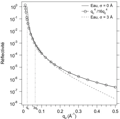 Figure 20 : Réflectivité calculée sur un système à une interface représentant l'eau avec et sans rugosité, comparé à une décroissance en q z 4 .