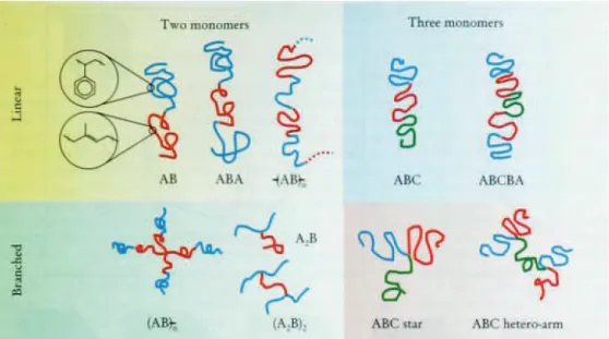 Figure 13. Représentation schématique des différentes configurations possibles d’un copolymère selon  l’organisation des chaines au sein de la macromolécule