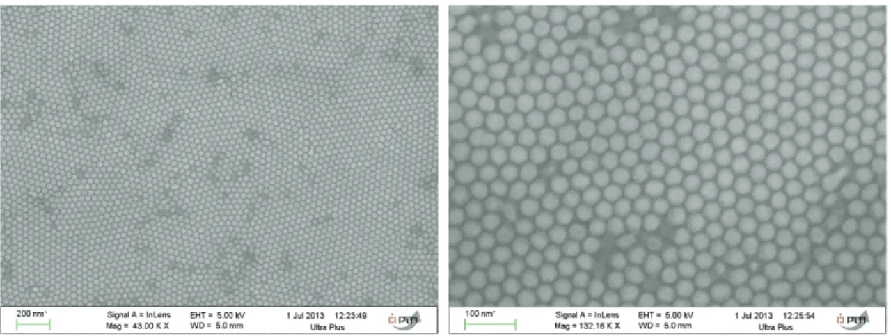 Figure 24. Images MEB d’un réseau de nanoparticules de nickel obtenu par dépôt par évaporation  sous vide