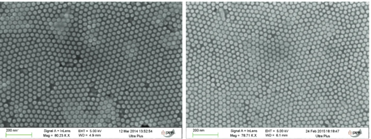 Figure  25.  Images  MEB  d’un  réseau  de  nanoparticules  de  permalloy  obtenu  par  dépôt  par    évaporation sous vide