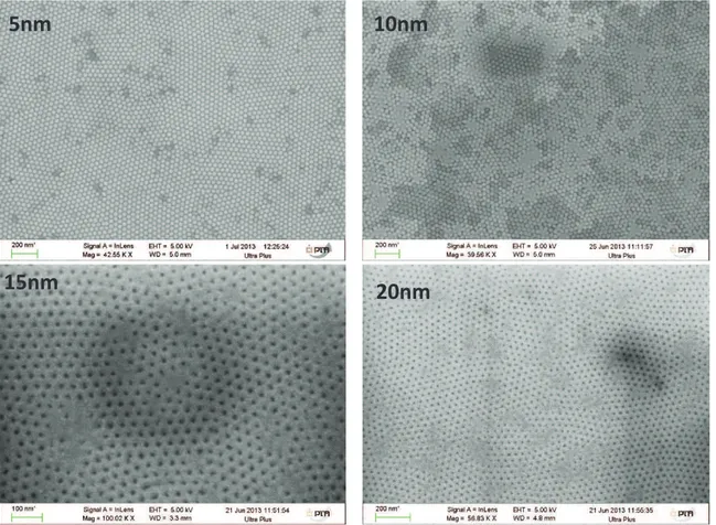 Figure 31. Images MEB des  échantillons  de différentes  épaisseurs  à la fin du procédé de fabrication  permettant l’obtention de nanoparticules de 5 nm d’épaisseur