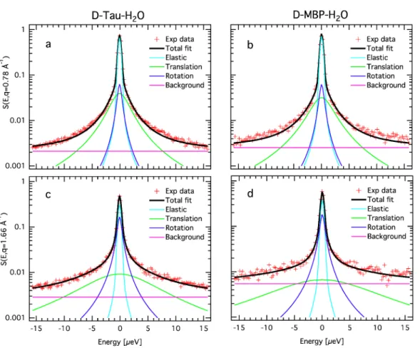 Figure  3.  Neutron  spectra  and  fits.  Quasi-elastic  neutron  scattering  spectra  of  D-tau-H 2 O  (a,c)  and  D-MBP-H 2 O  (b,d)  at  260  K  and  for  q=0.78  Å -1   (a,b)  and  q=1.66  Å -1   (c,d)