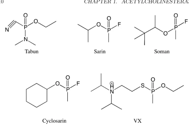 Figure 1.5: The main organophosphate agents. Molecules of the G-series: tabun (GA), sarin (GB), soman (GD), cyclosarin (GF); and lead molecule of the V-series:
