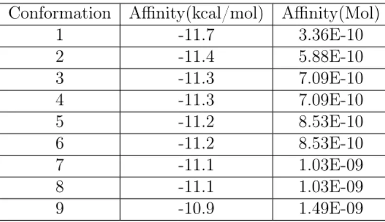 Table 4.2: Affinities for the nine best conformers of KM297 docked into non-aged hAChE-VX complex.