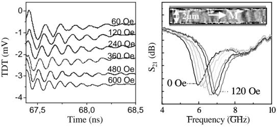 Fig. 2.34: Time domain traces and frequency domain absorption spectra for a  FeNi wire obtained with the inductive technique