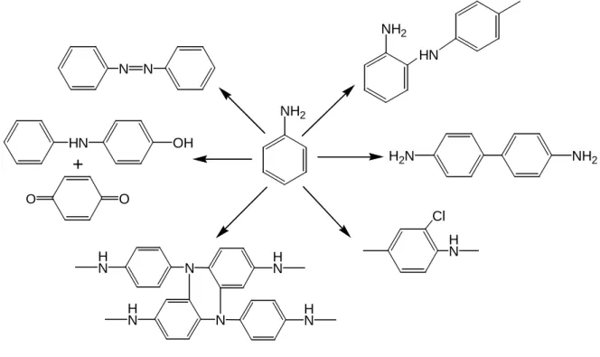 Fig. II.3.8 Side reactions occurring during polyaniline synthesis 