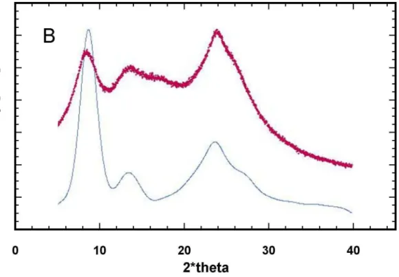 Fig. IV.1.3b Comparison of the experimental curve obtained for PANIZ (red line)  and the theoretical results calculated for the model assuming one H 2 O molecule  per  one nitrogen atom (blue line)  