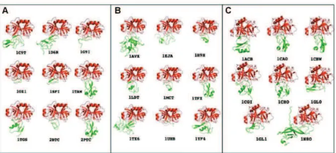 Figure II.9 : Représentation des 3 ensembles de complexes protéine-protéine naturels analysés