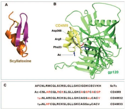Figure I.12 : Structures 3D et séquences de la plate-forme Scyllatoxine et ses variants