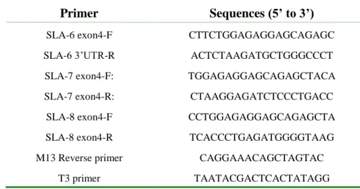 Table VI: Universal and internal primers used for SLA Ib transcript sequencing 