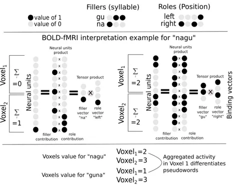 Figure 4.1: Illutration of superposed tensor product representation in BOLD-fMRI: