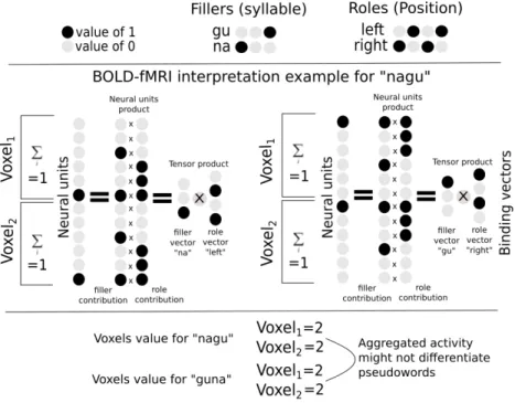 Figure 7.1: Illutration of superposed tensor product representation in BOLD-fMRI: