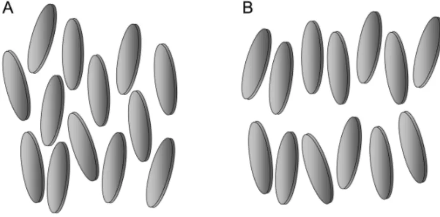 Figure 3 – Schematic representation of nematic and smectic phases. Often nematic liquid crystal (A) exhibit order in a single direction, whereas smectic phases (B) present in addition a layered structure.