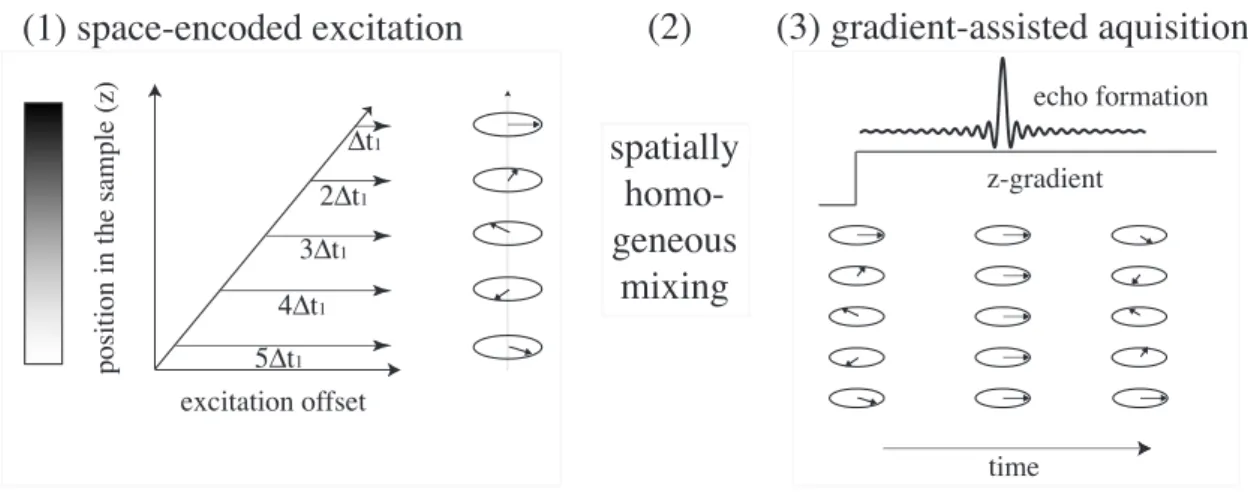 Figure 2.9 Principle of single scan (ultrafast) NMR. (1) Application of a linear z-gradient creates the spatial frequency dependence along the sample