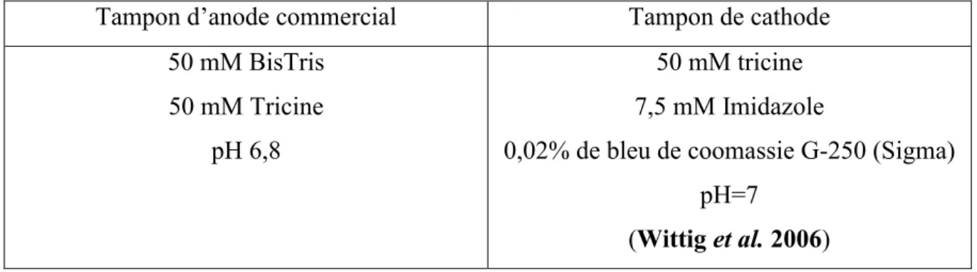 Tableau 6 : Composition des tampons d’anode et de cathode utilisés dans le système BN-PAGE