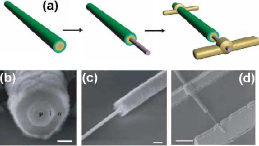 Figure 6 : Réalisation d’une cellule photovoltaïque par connexion d’un nanofil hétéostructuré