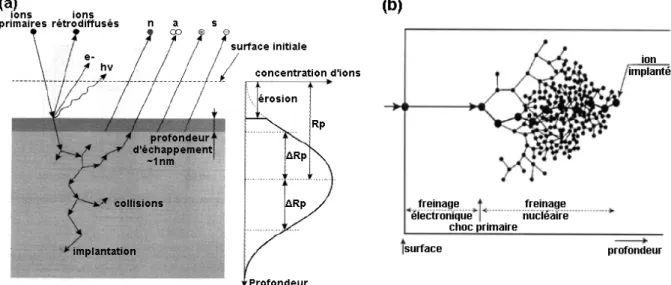 Figure 34 : (a) Phénomènes de surface en implantation ionique et (b) illustration des  processus de perte d’énergie des ions dans le volume 