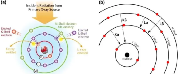 Figure 36 : Différentes transitions électroniques possibles entre les couches K, L, M et N  d’un atome 