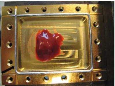 Figure 8.3 – Porte ´ echantillon et culot de Halobact´ erium pour les ´ etudes de diffusion de neutrons : le culot d’arch´ees de couleur rouge du fait de la pr´esence de pigment carot´eno¨ıde est plac´e au centre du porte ´echantillon (le couvercle n’appar