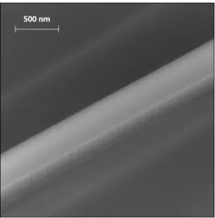 Figure II.5 – SEM image of a silicon waveguide.