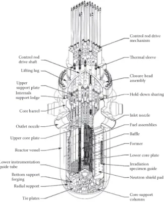 Figure 1.1 – Schematic diagram of the reactor pressure vessel and the internal components including fuel and control rods (after Kok 2009) [5].