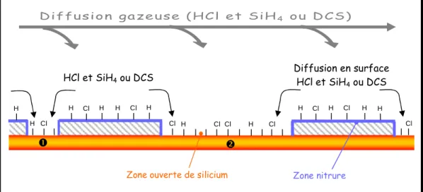 Figure II-13 : Schéma de la diffusion des espèces gazeuses près   d’une petite zone ouverte isolée (  ) et d’une grande zone isolée (  ),  