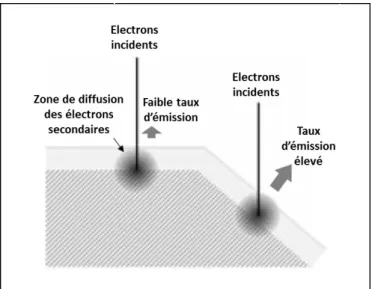 Figure 2.4 – Relation entre l’angle du faisceau incident et le taux d’émission d’électrons secondaires