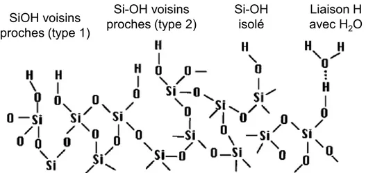 Figure  2.11  :  Schéma  conceptuel  des  différentes  configurations  possibles  des  liaisons  Si-OH dans un film de SiO 2 déposé par CVD, d’après [Haque 1997b]