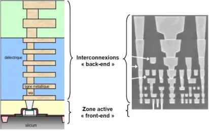 Fig. 1.1 – Sch´ema et photo de coupe d’un circuit int´egr´e obtenue par microscopie ´electronique