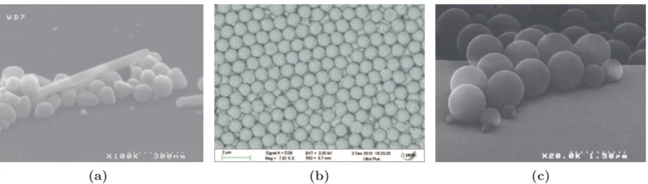 Figure 1.1 – Photographies au microscope électronique à balayage de particules colloïdales de (a) : Argent 100 nm de diamètre, (b) : Silice 1 µm de diamètre organisé en réseau et de (c) : polystyrène de 1 µm de diamètre.