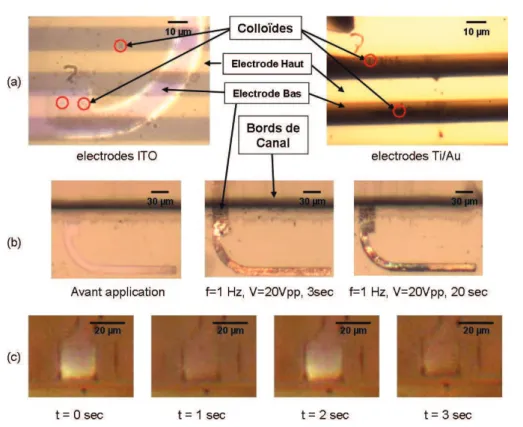 Figure 2.13 – Performances optiques des puces microfluidiques. (a) Images au microscope optique x50 en champ sombre des colloïdes de 1 µm à travers les puces en ITO et Ti/Au