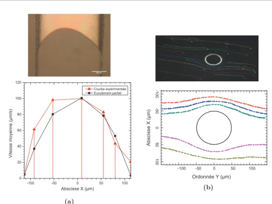 Figure 2.17 – (a) : Photographie optique 20X du profil d’un front de liquide se déplaçant dans le canal microfluidique et champ de vitesse de colloïdes de 1 µm dans un canal de 300 µm de largeur