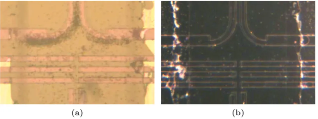 Figure 2.23 – Photographies optiques 20X de particules de 1 µm en mode (a) : champ clair, (b) : champ sombre.