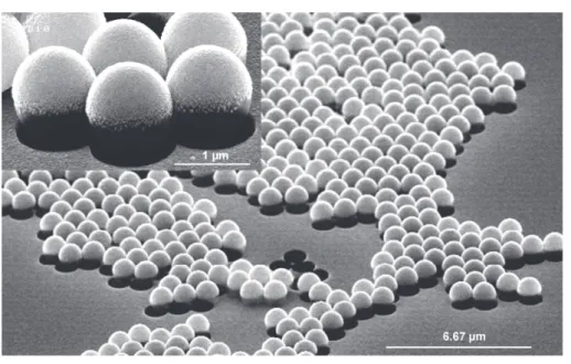 Figure 3.3 – Photographies de particules Janus 100 nm Au / 1 µ Polystyrène avant sonication [Honegger 2010b]